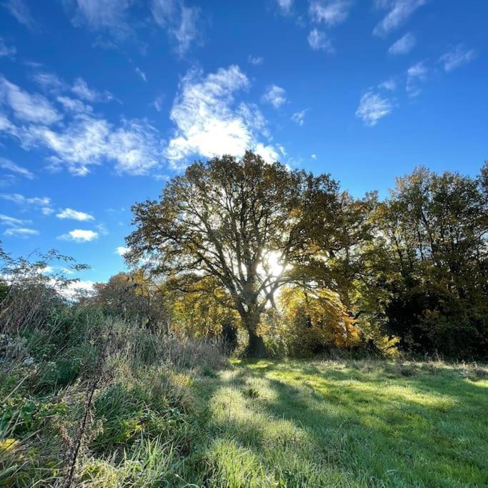 Superbe Maison De Campagne A Deux Pas De Nantes Treillieres Luaran gambar
